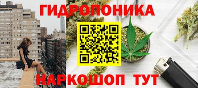 прущие грибы Лесосибирск