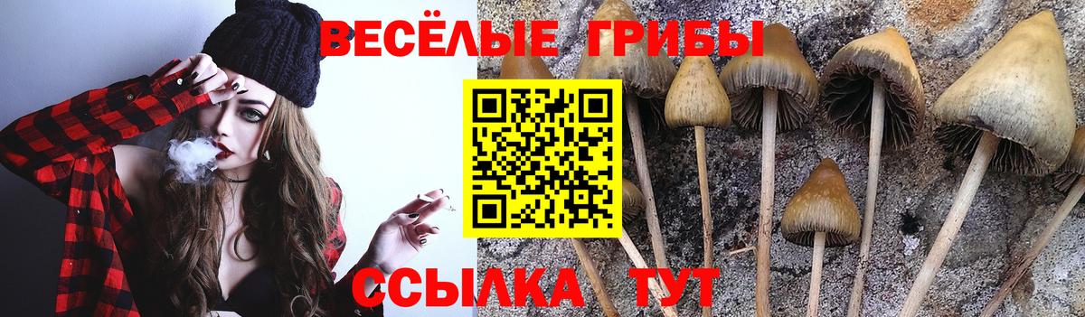 Псилоцибиновые грибы ЛСД Всеволожск
